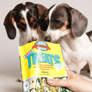 DJays Gourmet Beef Pet Treats